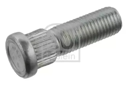 febibilstein-46691