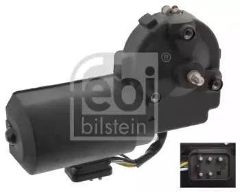 febibilstein-46741
