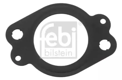febibilstein-46783