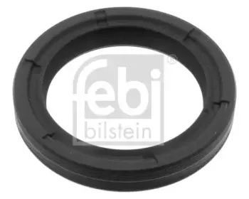 febibilstein-46997