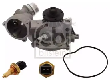 febibilstein-47004