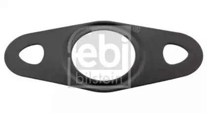 febibilstein-47008
