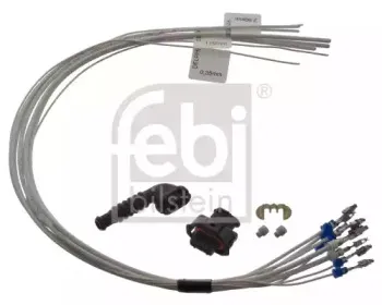 febibilstein-47207