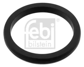 febibilstein-47534
