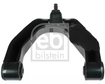 febibilstein-48178