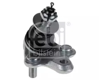 febibilstein-48222