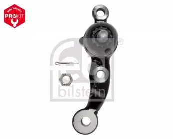 febibilstein-48229