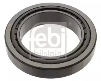 febibilstein-49031