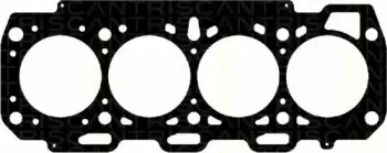 triscan-5012555