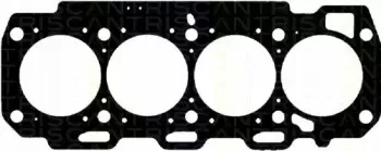 triscan-5012562