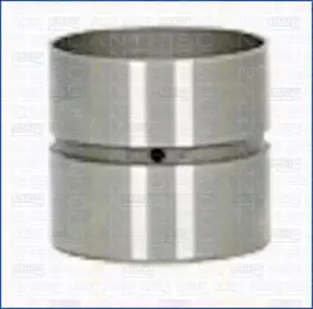 triscan-8025007