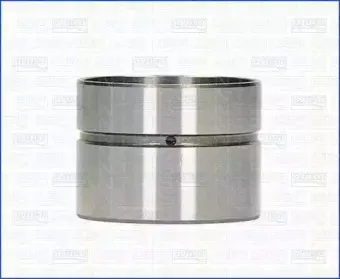 triscan-8029003