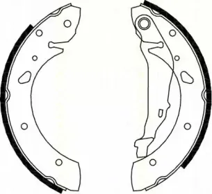 triscan-810013624
