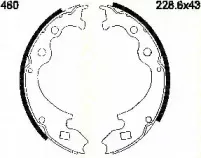 triscan-810016460