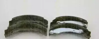 triscan-810028051