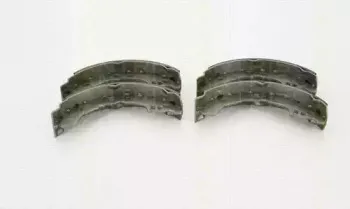 triscan-810041614