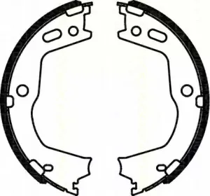 triscan-810043028
