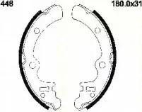 triscan-810068448