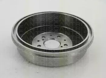 triscan-812013228