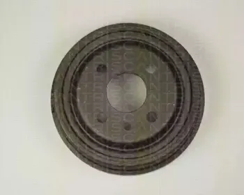triscan-812024202