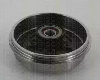 triscan-812025222