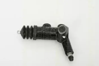 triscan-813013316