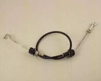 triscan-814011307