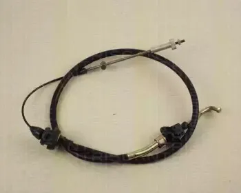 triscan-814011315