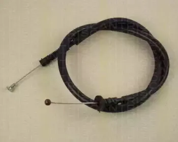 triscan-814012305