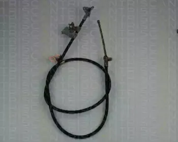 triscan-8140131113
