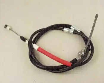 triscan-814013148