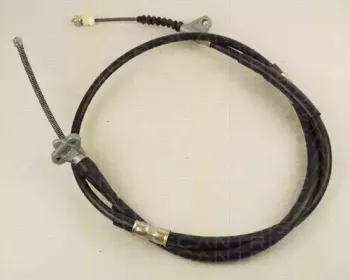 triscan-814013155