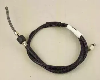 triscan-814013183