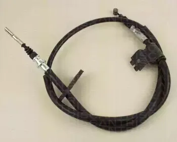 triscan-814014138
