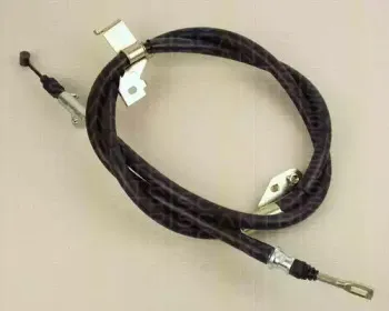 triscan-814014150