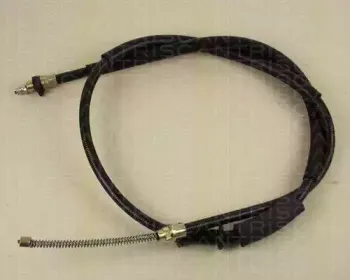 triscan-814015167