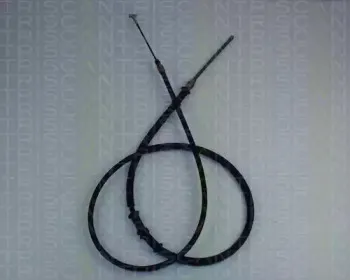 triscan-814015185