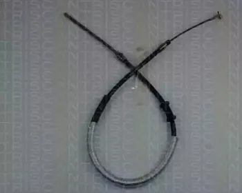 triscan-814015186