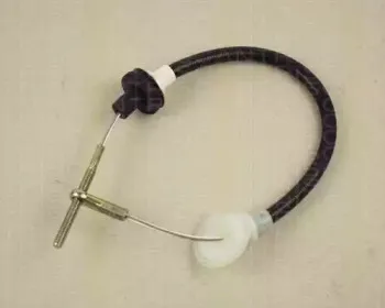 triscan-814015203