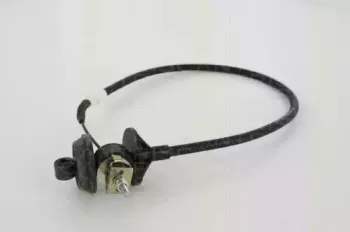 triscan-814015232