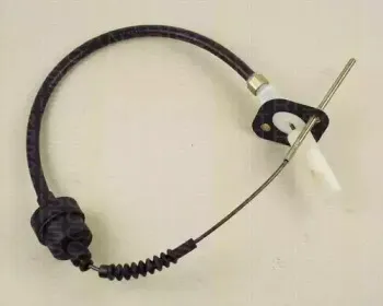 triscan-814015247