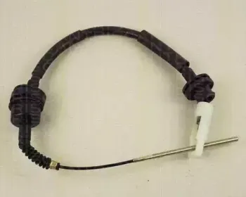 triscan-814015266
