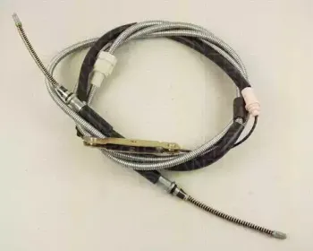 triscan-814016113