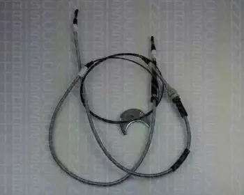 triscan-814016133
