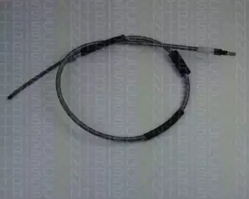 triscan-814016147
