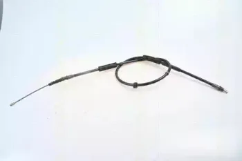 triscan-814016167
