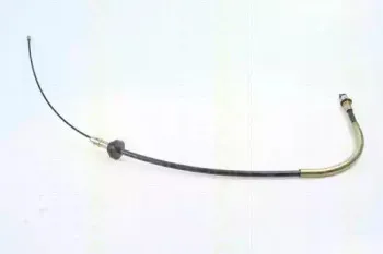 triscan-814016172