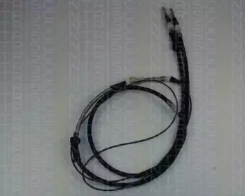 triscan-814016183