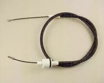 triscan-814016221