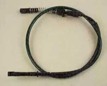 triscan-814016320